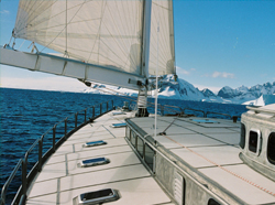 alu06